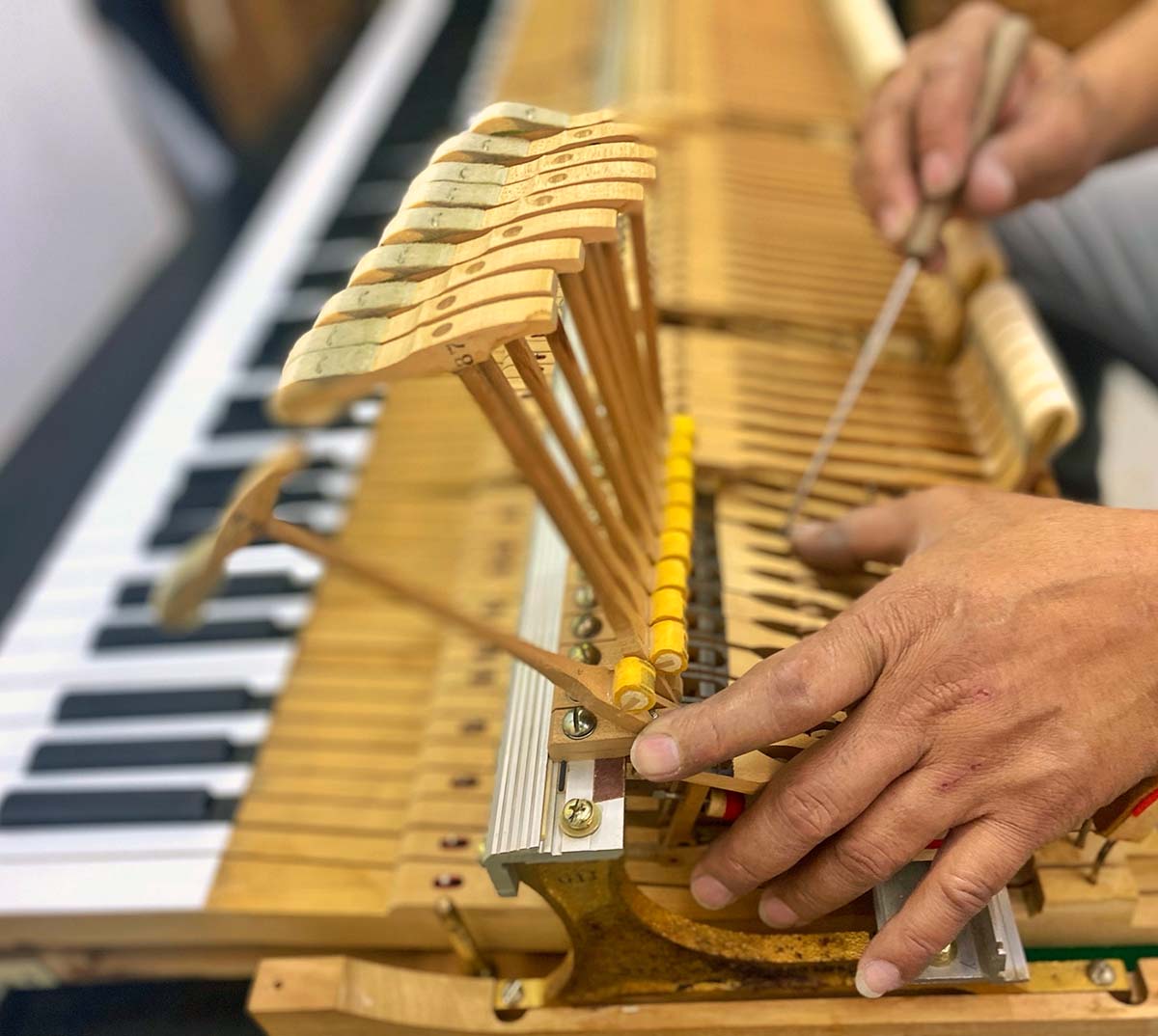 PT-Envato-poss-027-tuning-diverse-piano-technician-SM Sam Haasenritter, Piano Tuner Atlanta, Atlanta Piano Tuning, Piano Repair Atlanta, Piano Tuning Atlanta
